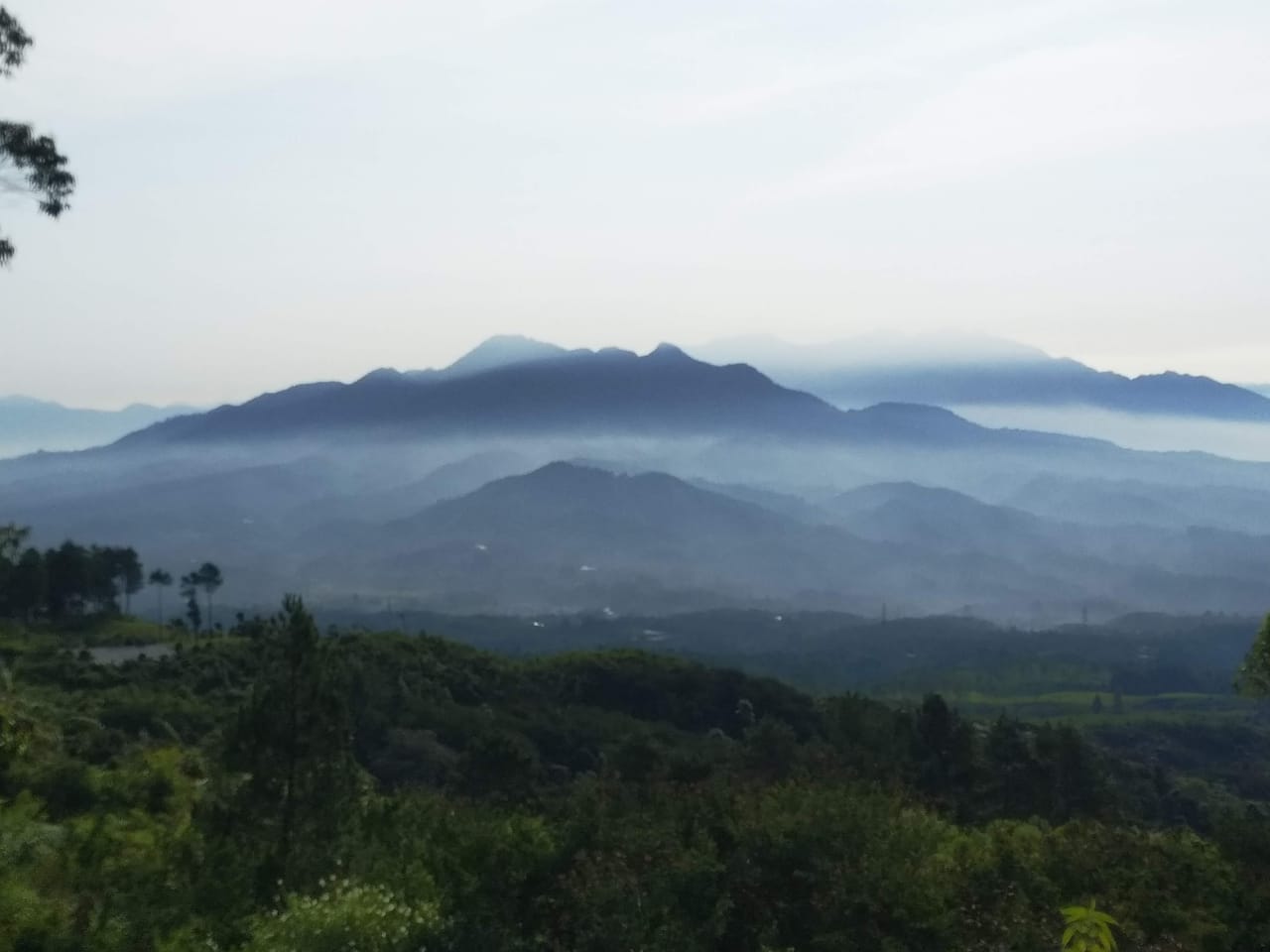 CI WULAN
